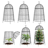 DFJFIFF large chicken-wire plant cover protects seedlings from wind and pests.