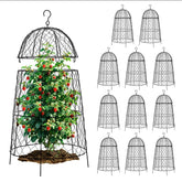 DFJFIFF garden cloche 12-pack protects seedlings from rabbits and birds.