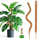 Dimpoo 28-inch moss pole supports Monstera with natural grip for aerial roots.