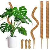 Dimpoo moss pole 26.8-inch with natural coir for supporting climbing plants.