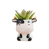 DIYOMR Cow ceramic planter with a cute animal design for small succulents on your desk