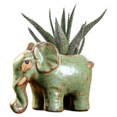 DIYOMR elephant ceramic pot with a compact desk-friendly design for small succulents.