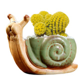 DIYOMR snail pot with glossy glaze for stylish succulent displays on a desk.