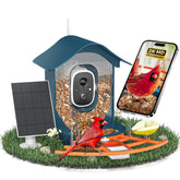 Docoon smart bird feeder with camera in a garden setup for clear bird footage.