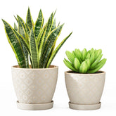 Docrin ceramic plant pot 6.6-inch white with drainage for healthy indoor plants.
