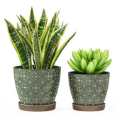 Docrin dark-green ceramic planter 6.6-inch for compact indoor display and easy care
