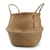 DOKOT Seagrass Basket with handles for stylish plant display and easy transport.