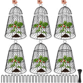 Doksving garden cloches six-pack protecting seedlings from animals