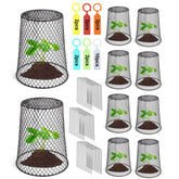 Doksving seedling protectors in place, guarding young plants while allowing air flow.