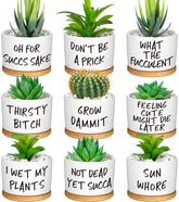 Domensi funny succulent pots ceramic set for stylish desk decor