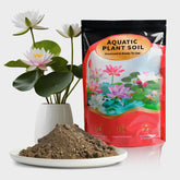 Doter Aquatic Plant Soil surrounds lotus rhizomes for stable growth.