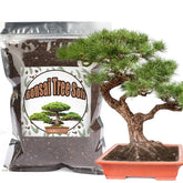 Doter Bonsai Soil Mix 1qt ready-to-use for vibrant roots
