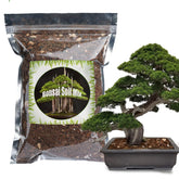 Doter Bonsai Soil Mix bag ready for easy repotting.