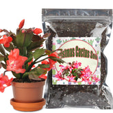 Doter Christmas Cactus potting soil 2qt bag ready for easy indoor planting