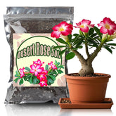 Doter Desert Rose Potting Soil packaging demonstrates a ready-to-use solution for quick repotting.