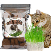 Doter disc coconut coir potting system expands with water for easy indoor planting.