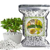 Doter Organic Chunky Perlite showing large 1-2 cm particles for drainage.