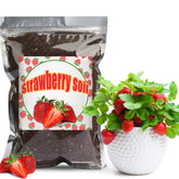 Doter Organic Strawberry Soil Mix 2qt bag cut open for easy planting.