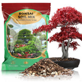 Doter Premium Bonsai Soil Mix pour shows light texture aiding root health