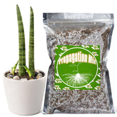 Doter propagation potting mix 1qt packaging, clean and ready for rooting cuttings.