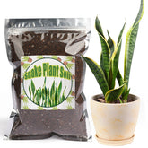 Doter Premium Snake Plant Soil Mix bag promotes balanced nutrition and drainage.