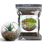 Doter Terrarium Soil Mix in a 1qt bottle promotes healthy miniature plant growth.