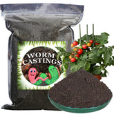 Doter Worm Castings packaging shown as ready-to-use fertilizer for safe home gardening