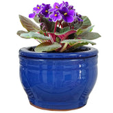Dphagesy African Violet pot with self-watering round ceramic blue finish, front view, for steady moisture.