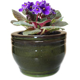 Dphagesy African Violet pot in olive drab with self-watering design on a table.