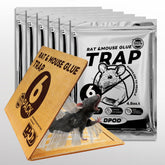 DPOD glue mouse traps indoor pack6 front view with pre-baited traps for quick, non-toxic pest capture.