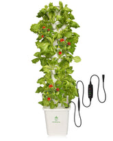DPROOTS hydroponic tower showcases 45 plants in a compact vertical system for indoor gardening.