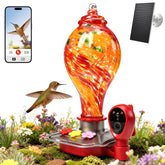 DR.BUNORDLE feeder camera delivers 2K HD live view for birdwatching