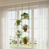 Drconox 5-Tier Window Plant Shelves showcase a sunlit display for thriving greenery.