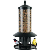 Dreamdrawer squirrel-proof bird feeder with weight-activated perch blocks squirrels.