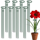Dreecy plant stake 12 inch ready to support small plants and blooms.