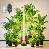 Dripiagarden 360-degree grow light provides even coverage for indoor plants.