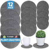 Drymate plant coaster 6-inch in use protects surfaces from spills and moisture.