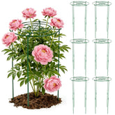DSTANA six-pack peony cages with grid for sturdy bloom support.
