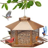 DTEPFUEN metal bird feeder with gold finish, elevating yard decor while inviting songbirds.
