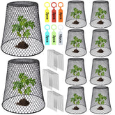 Dukelai chicken wire cloche cover on a potted plant protecting from animals while allowing airflow