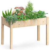 DUMOS raised garden bed with legs, easy access for planting and care.