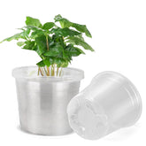DUNPUTE 10-inch clear nursery pot with drainage for easy root monitoring.