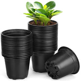 DUNPUTE 60-pack 5-inch nursery pot with drainage holes promotes healthy seedling growth.