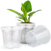 DUNPUTE 7-inch clear nursery pot stackable for seedling growth