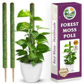 Duspro 2-pack 25-inch mesh moss poles ready for climbing plant displays