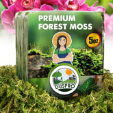 Duspro 5oz dried moss pack for compact hydration-ready soil cover