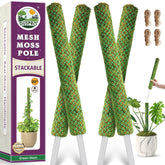 Duspro green stackable moss pole setup supports climbing vines indoors.