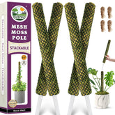 Duspro stackable moss pole tall assembly supports climbing plants like Monstera