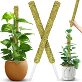 Duspro stackable moss pole with forest moss detail supports upward growth.