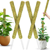 Duspro stackable moss pole for Monstera provides vertical support and natural look.